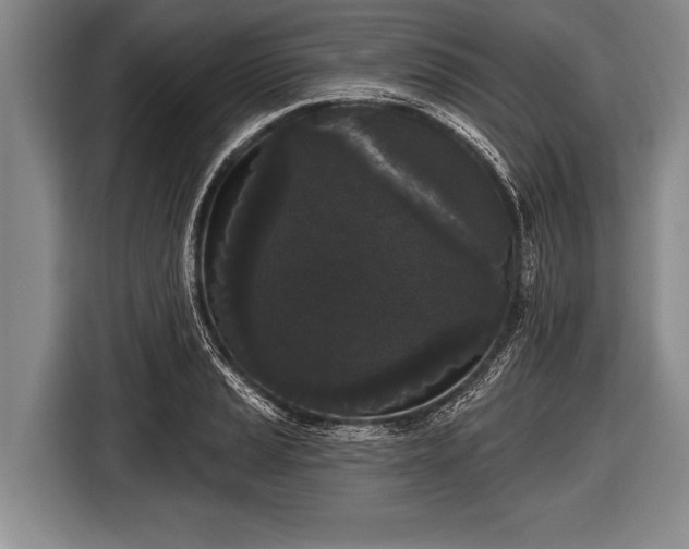 X0000116851037200912291236