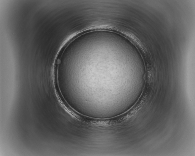 X0000116851038200912291236