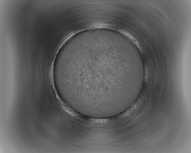 X0000116851039200912291236