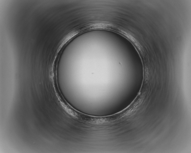 X0000116851042200912291236