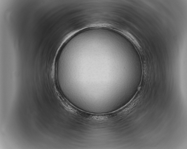 X0000116851044200912291236