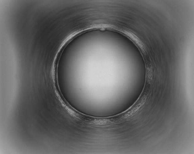 X0000116851046200912291236