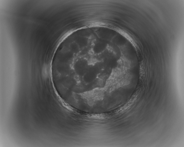 X0000116851047200912291236
