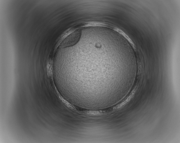 X0000116851049200912291236