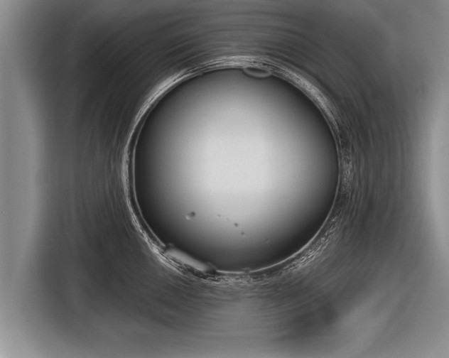 X0000116851050200912291236