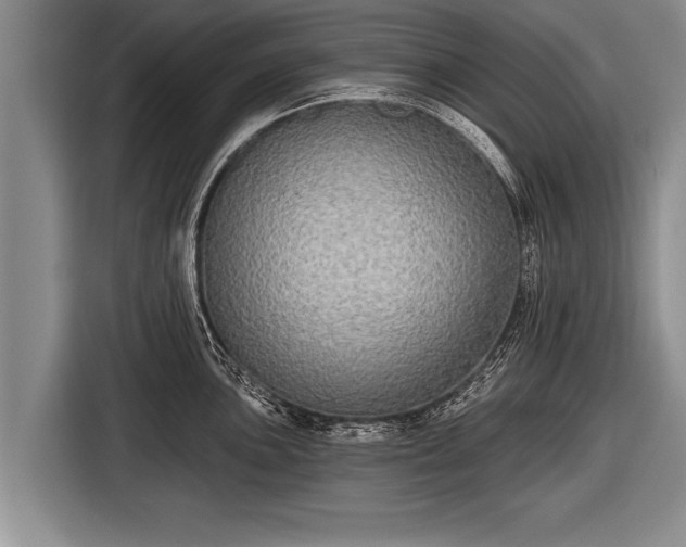 X0000116851051200912291236