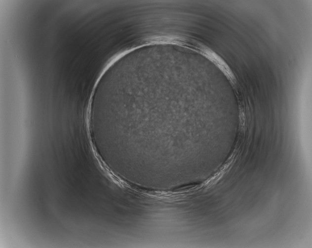 X0000116851052200912291236