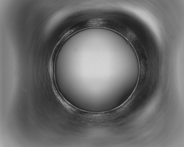X0000116851054200912291236