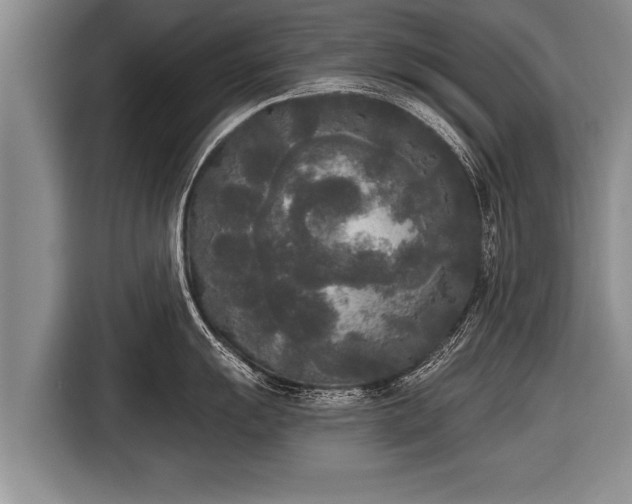 X0000116851055200912291236