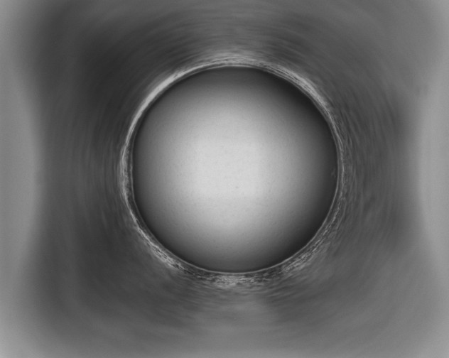 X0000116851056200912291236