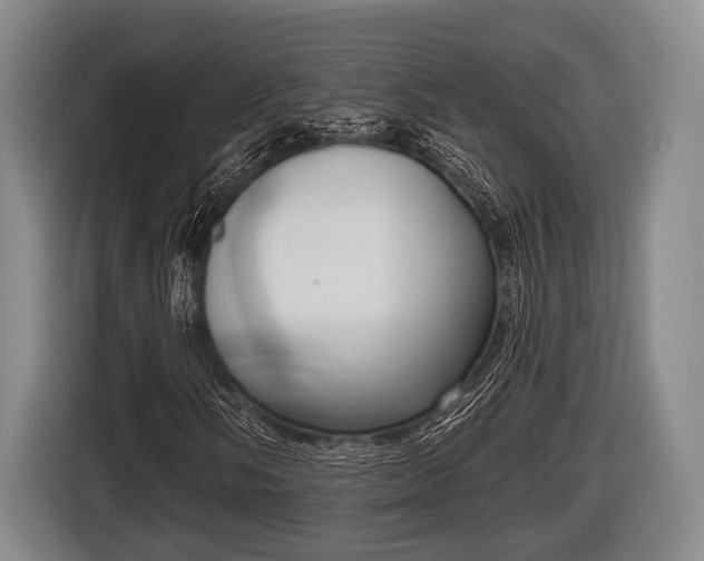 X0000116851058200912291236