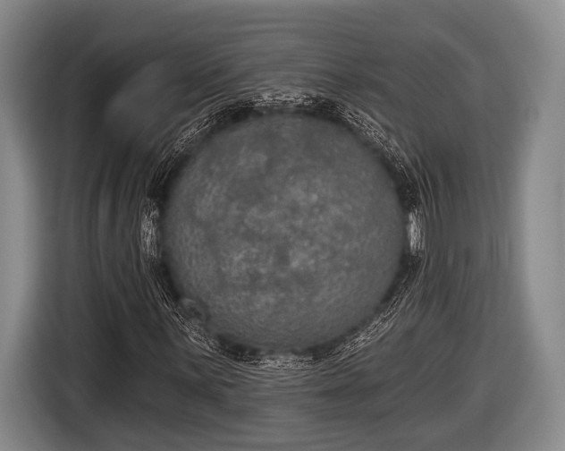 X0000116851059200912291236