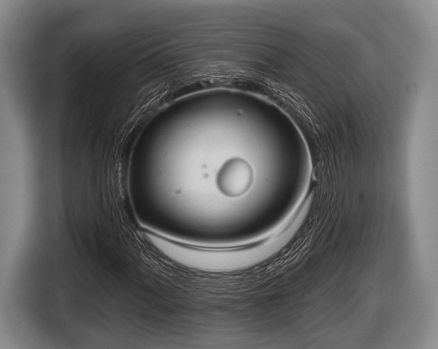 X0000116851060200912291235