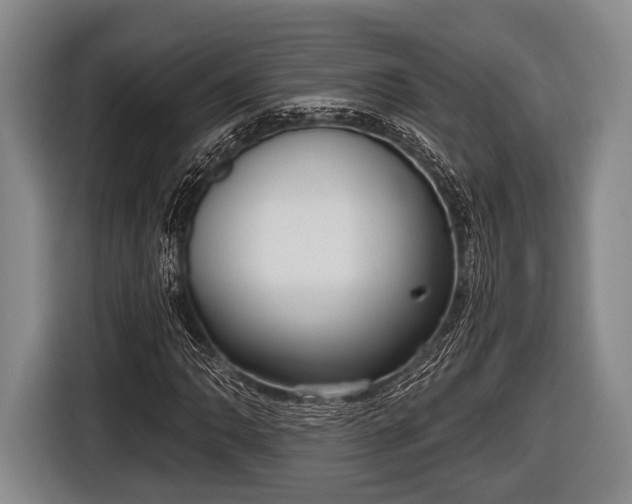 X0000116851062200912291235