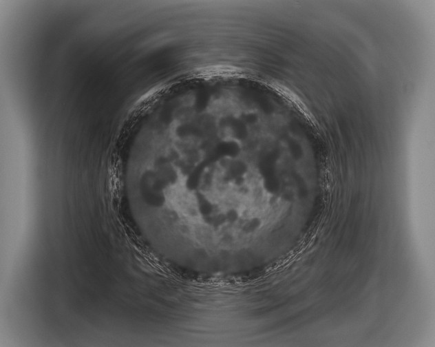 X0000116851063200912291235