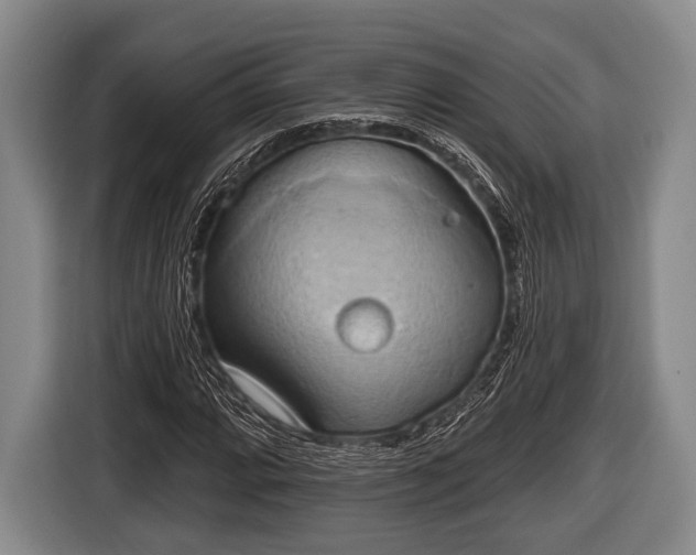 X0000116851064200912291235