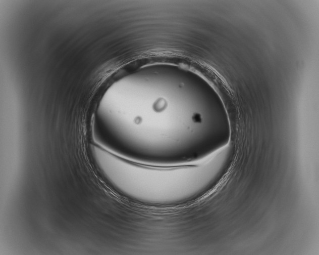 X0000116851065200912291235