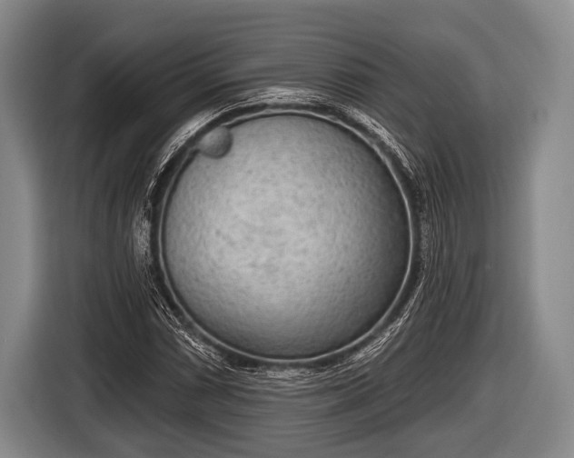 X0000116851066200912291235