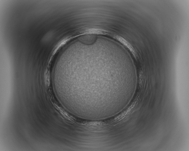 X0000116851067200912291235