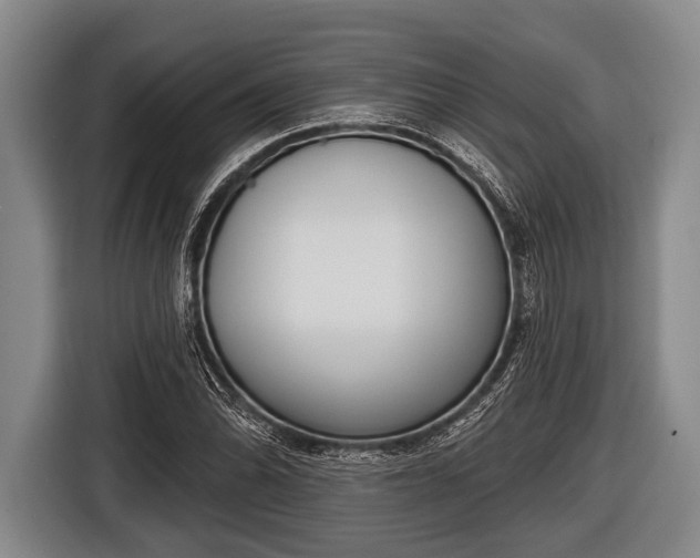X0000116851070200912291235