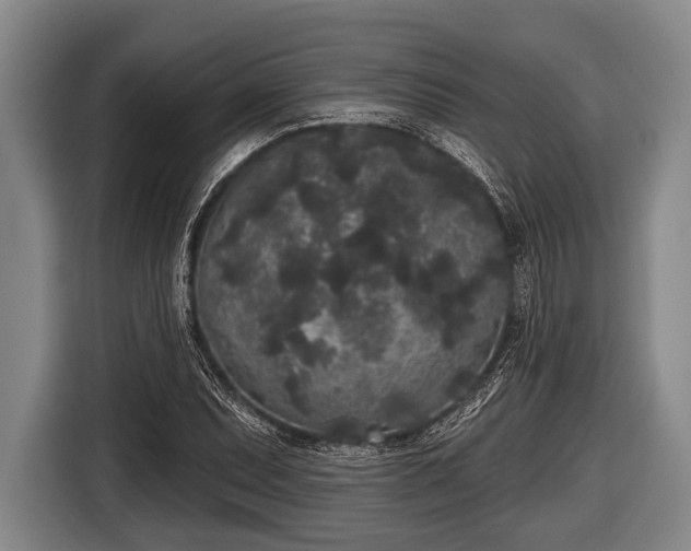 X0000116851071200912291235