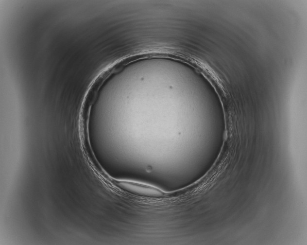 X0000116851072200912291235