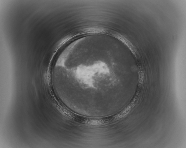 X0000116851074200912291235