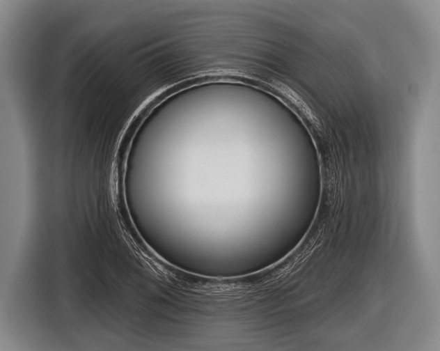 X0000116851076200912291235