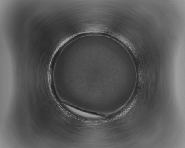 X0000116851077200912291235