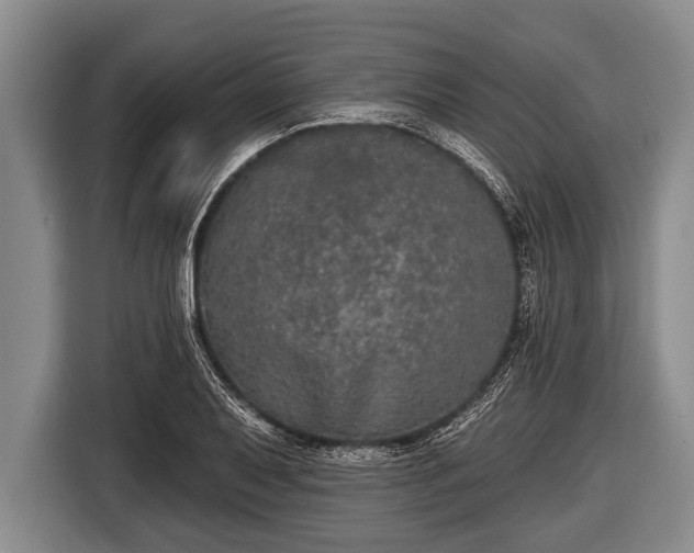 X0000116851079200912291235