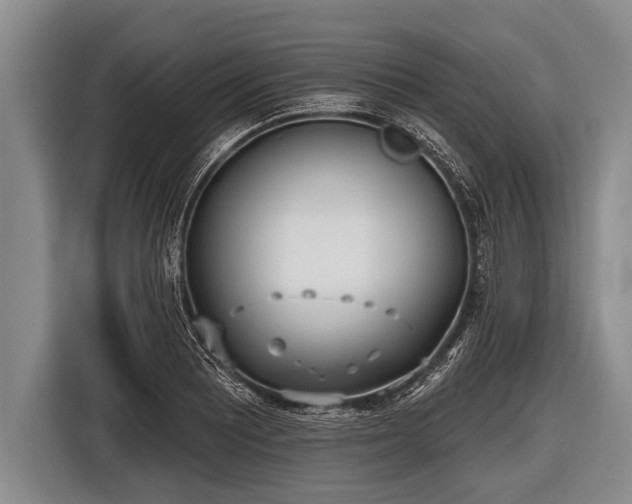 X0000116851081200912291235