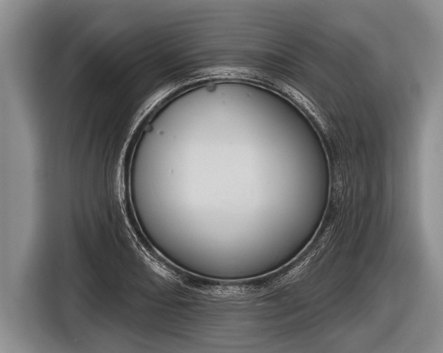 X0000116851082200912291235