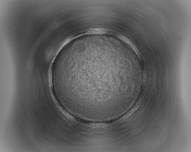 X0000116851083200912291235