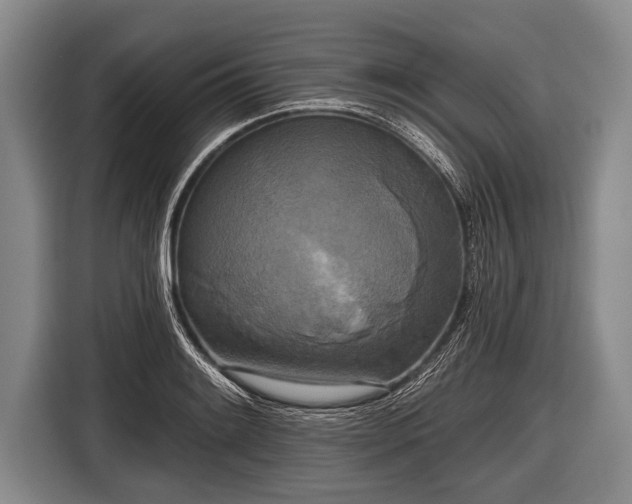X0000116851084200912291235