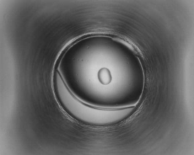 X0000116851085200912291235