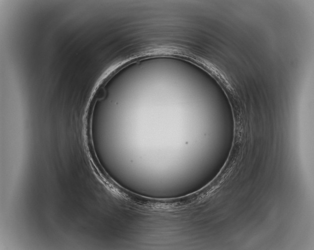 X0000116851086200912291235