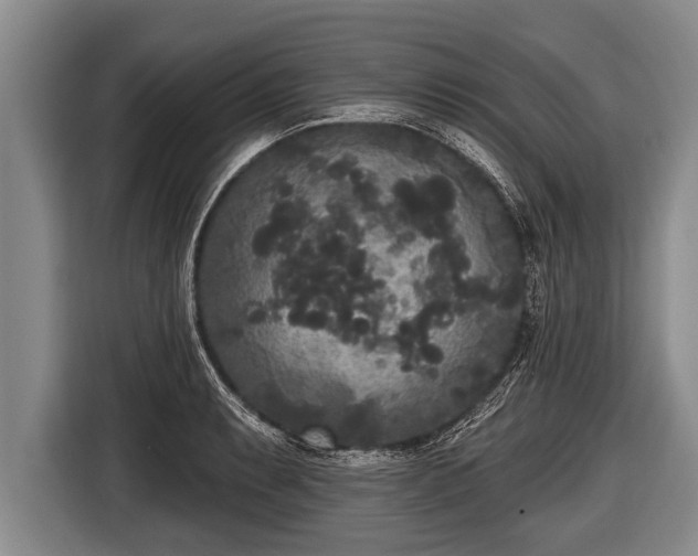 X0000116851087200912291235
