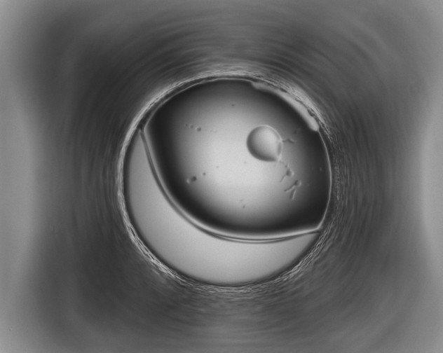 X0000116851088200912291235