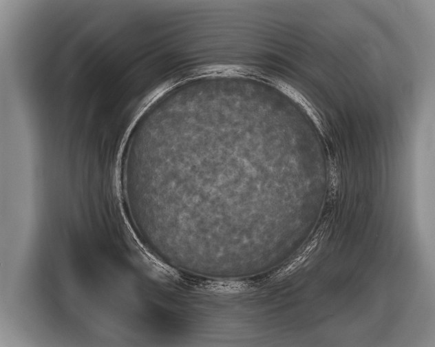 X0000116851090200912291235