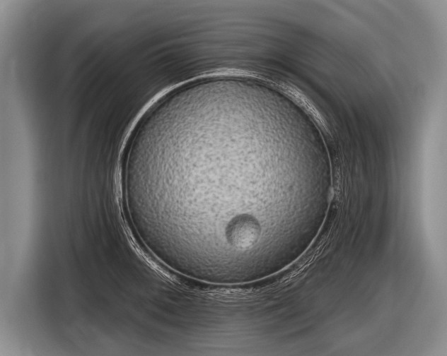 X0000116851092200912291235