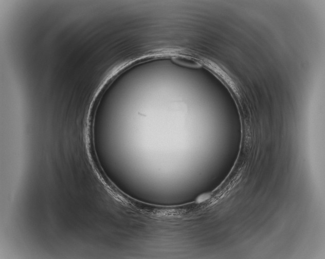 X0000116851093200912291235