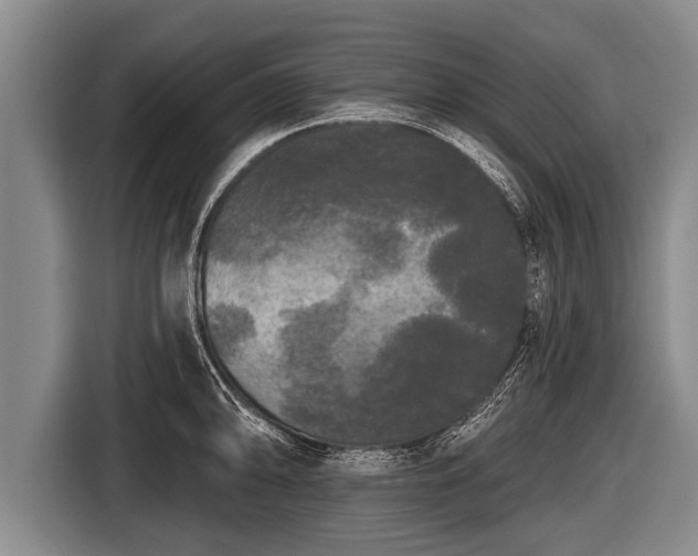 X0000116851094200912291235