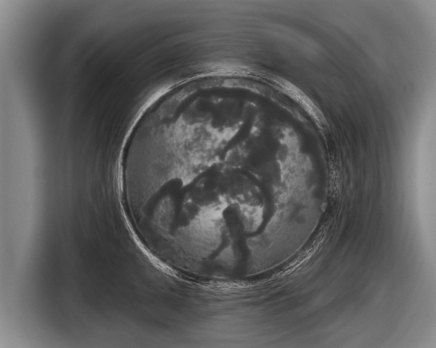 X0000116851095200912291235