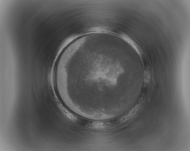X0000116851098200912291235