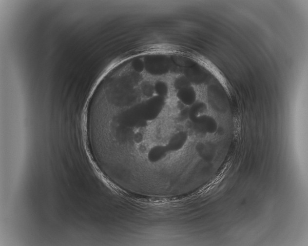 X0000116851099200912291235