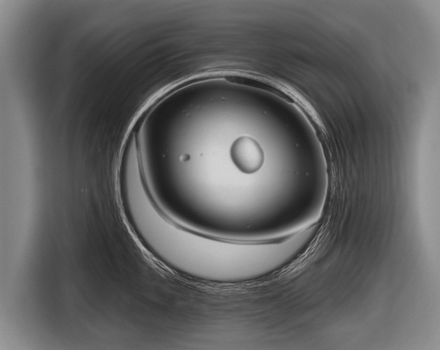 X0000116851101200912291235