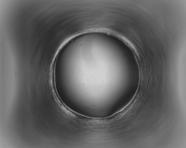 X0000116851102200912291235