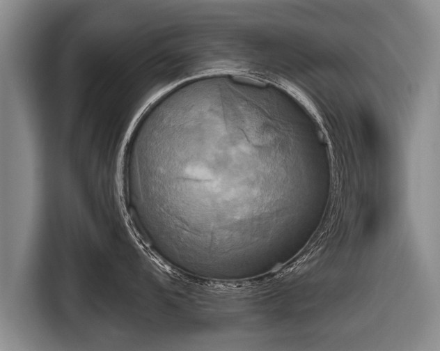 X0000116851104200912291235