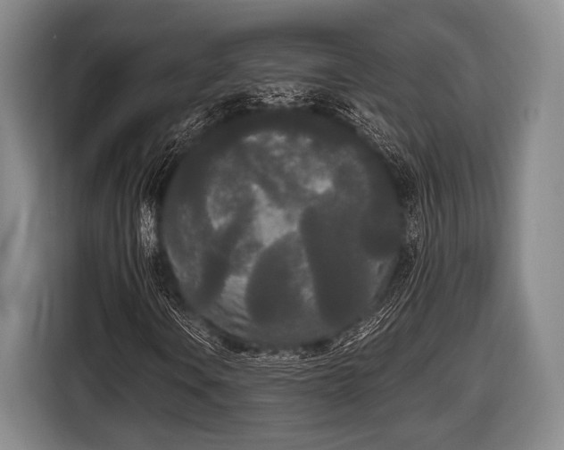 X0000116851106200912291234