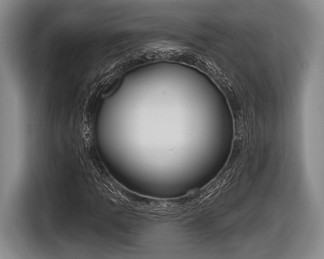 X0000116851109200912291234